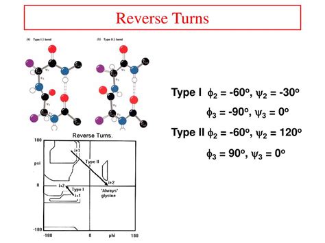 Turn (biochemistry) .